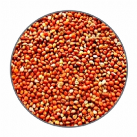 SEMENTES PARA PASSAROS FJD PAINCO VERMELHO 5KG