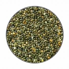 SEMENTES PARA PASSAROS FJD PAINCO VERDE 5KG