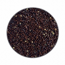 SEMENTES PARA PASSAROS FJD PAINCO PRETO 5KG