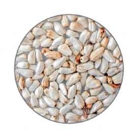 SEMENTES PARA PASSAROS FJD CARTAMO 5KG