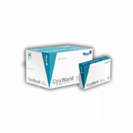 ANTIBIOTICO CEFAWORLD PARA CAES E GATOS BLISTER COM 12 COMPRIMIDOS WORLD
