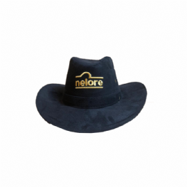 CHAPEU NELORE