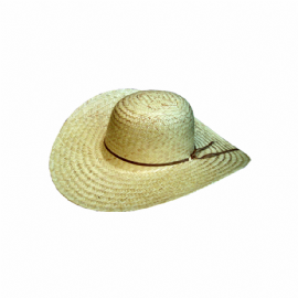 CHAPEU DE PALHA PANTANEIRO