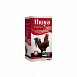 THUYA AVICULA SIMOES PROVETS