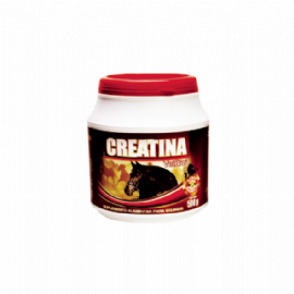 CREATINA VETBRAS VETBRAS