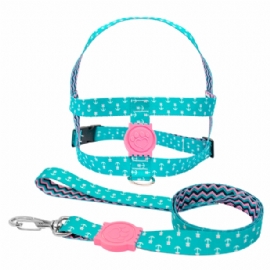 CONJUNTO PEITORAL E GUIA POP SEDA