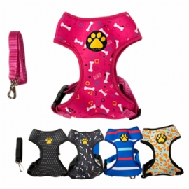 CONJUNTO PEITORAL E GUIA NEOPRENE