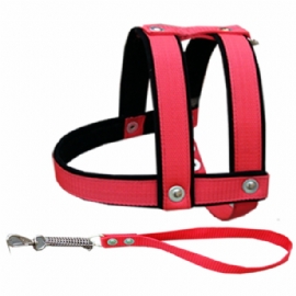 PEITORAL DE LUXO PRETO E VERMELHO PARA PORTE GRANDE