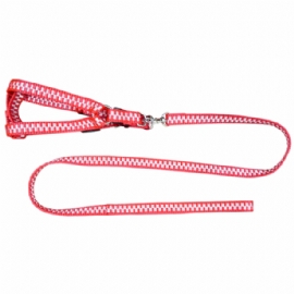 PEITORAL DE NYLON PATA E OSSO COM GUIA