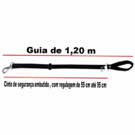 GUIA 2 EM 1 COM CINTO DE SEGURANCA 1,20M PET JUNIOR