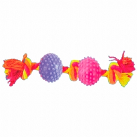 BOLA FISIO DENTAL BONE 2 BOLAS PEQUENO
