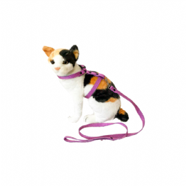 PEITORAL E GUIA PARA GATOS CORES VARIADAS