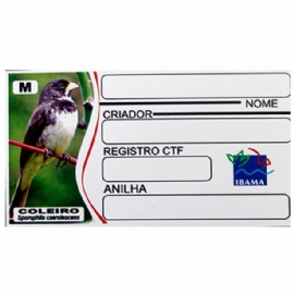 PLACA BIRDS IDENTIFICACAO