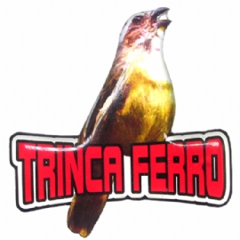 PLACA DE ENFEITE TRINCA FERRO