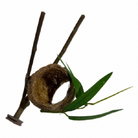 NINHO BOLA NO GALHO