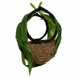 NINHO BOLA NATURAL COM MATO